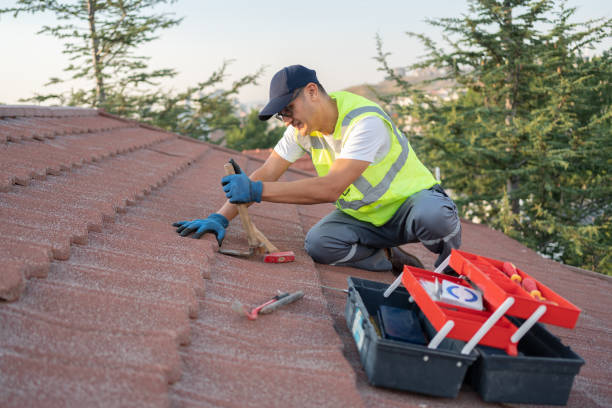 Best Roof Leak Repair  in Little Ferry, NJ