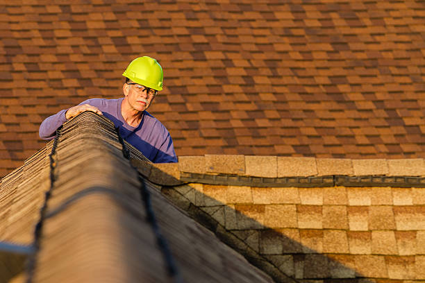 Best Roof Leak Repair  in Little Ferry, NJ
